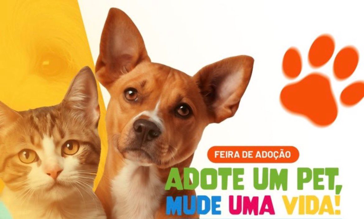 OLINDA REALIZA MAIS UM GRANDE EVENTO DE ADOÇÃO RESPONSÁVEL DE ANIMAIS
