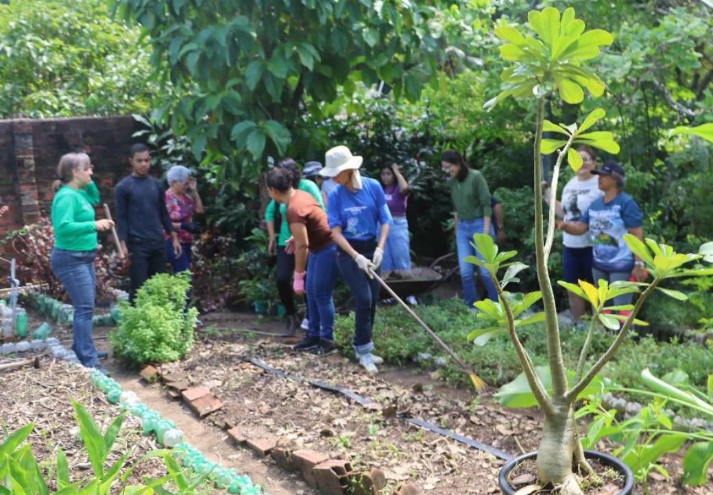 PREFEITURA DO PAULISTA REALIZA I SEMINÁRIO MUNICIPAL DE PLANTAS MEDICINAIS COM FOCO EM SAÚDE MENTAL E SABERES TRADICIONAIS