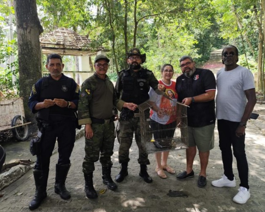 GUARDA CIVIL MUNICIPAL DE OLINDA RECEBE ENTREGAS VOLUNTÁRIAS DE ANIMAIS SILVESTRES
